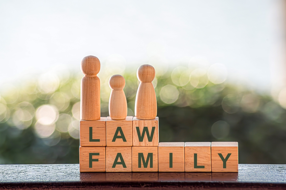 lawyer,scales,justice, ,law,concepts,family,law,including,youth